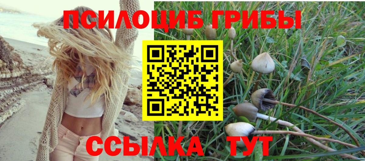 Дмитров  цены   Вход с VPN  Псилоцибиновые грибы Psilocybine cubensis  Галлюциногенные грибы Psilocybe 